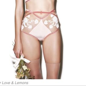 🆕 FL&L Darla side laced panty in Blush size L